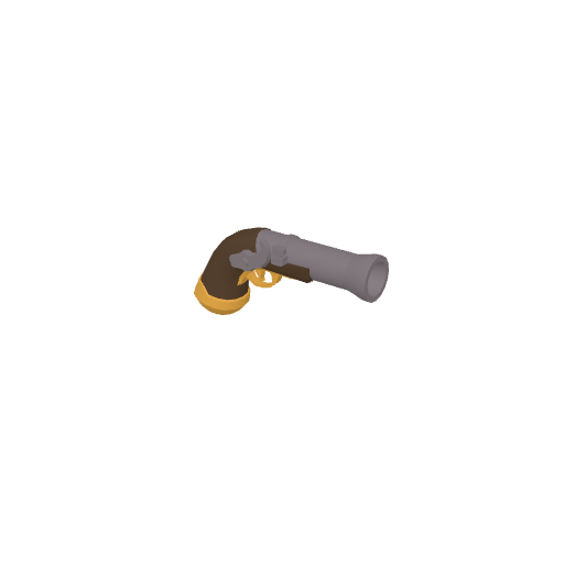 Pistol