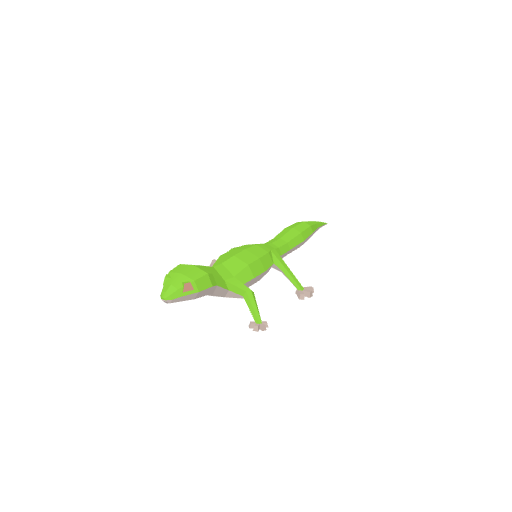 Salamander