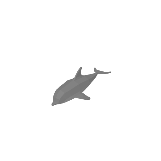 Dolphin