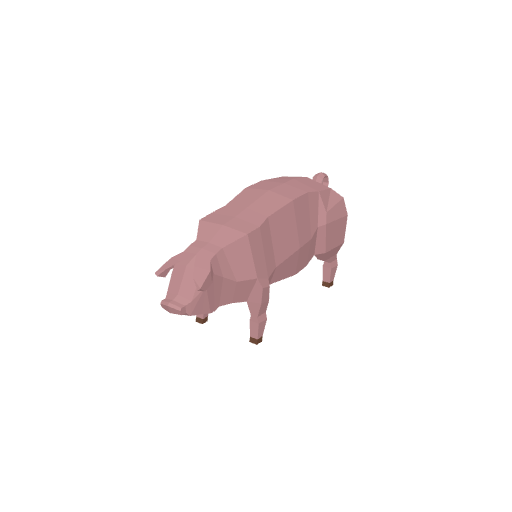 Pig