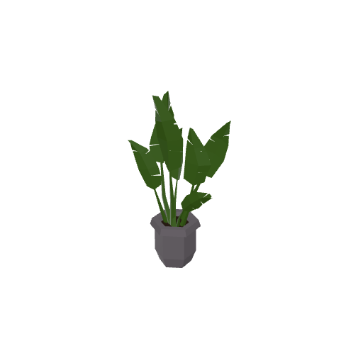 Flower Pot