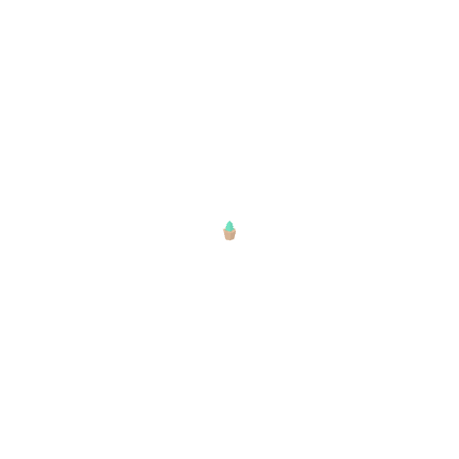 Plant Small1