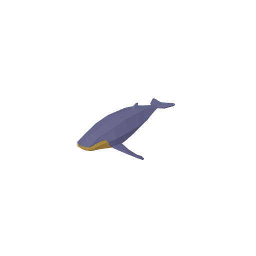 Whale
