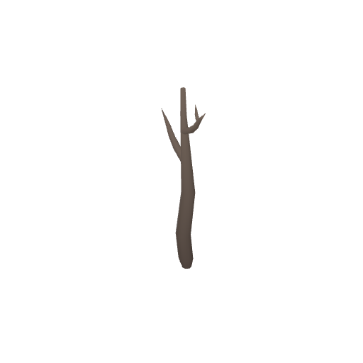 Dead Tree