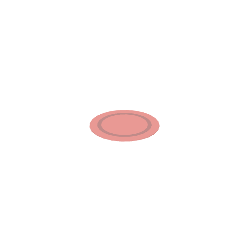 Rug Round