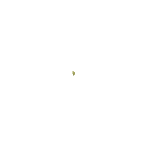 Chick