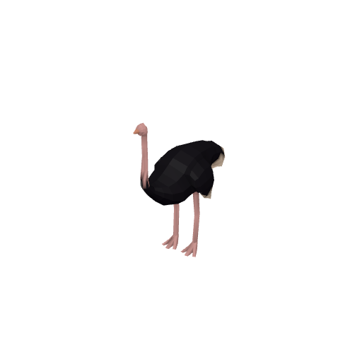 Ostrich