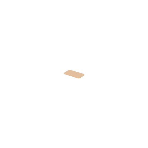 Rug Doormat