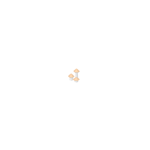 Mushroom Tan Group