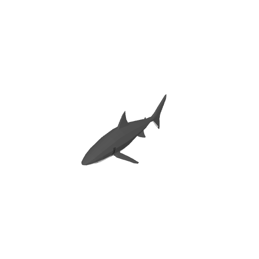 Shark