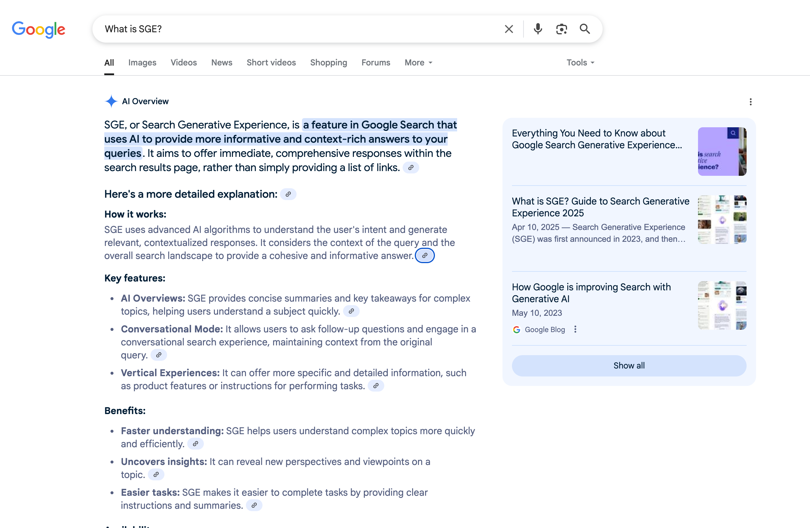 SGE Is Here. Is Your Website Already a Ghost? (A Brutal-but-Honest Guide for Business Owners)