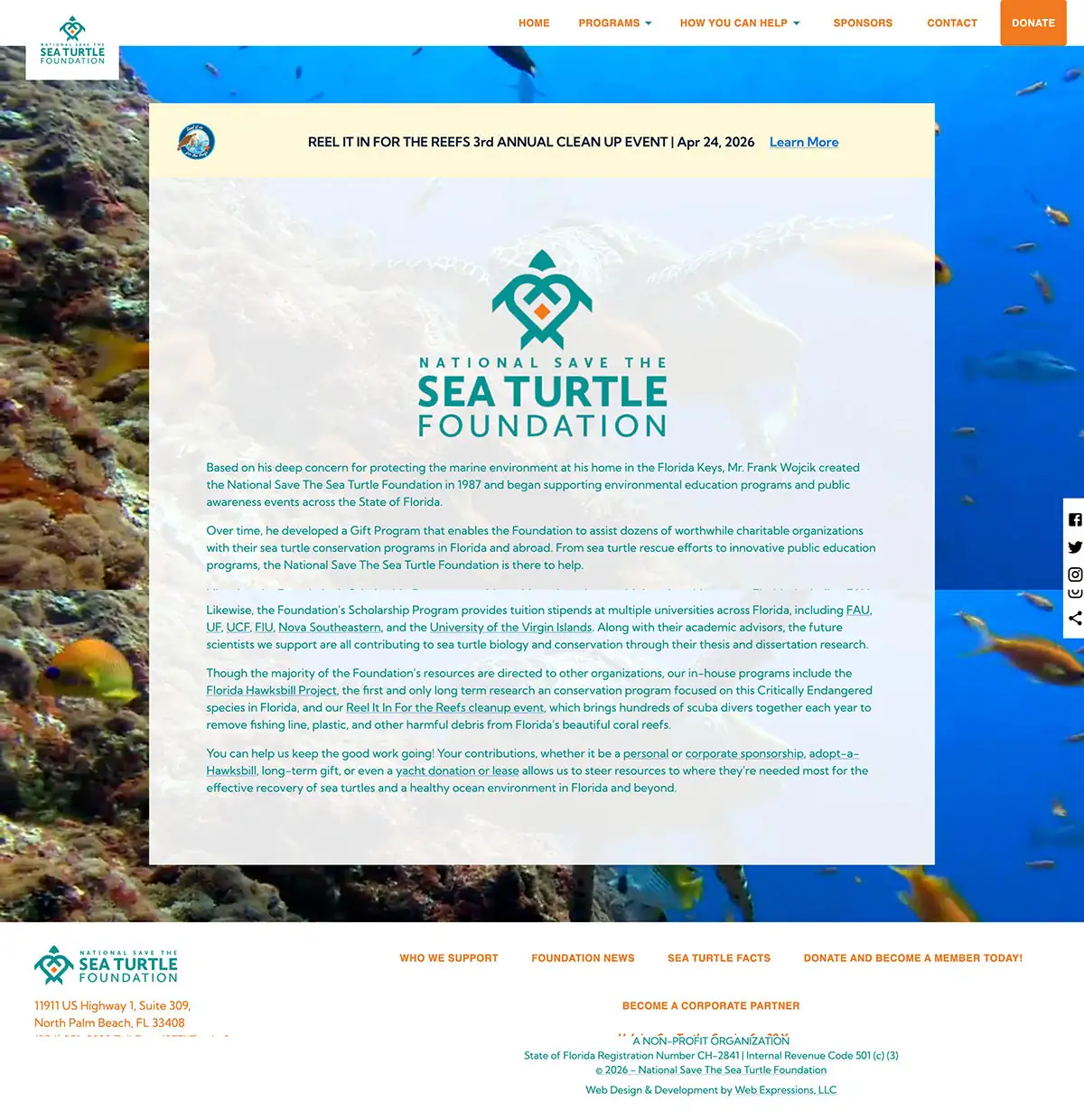 Save The Sea Turtle - custom website design