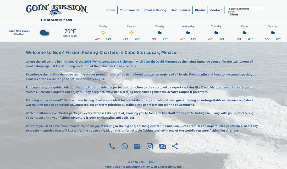 Goin' Fission - custom website design