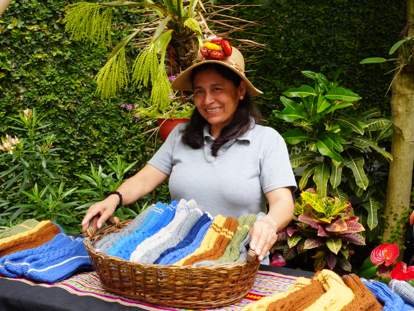 Hero image for Anqas Wasi