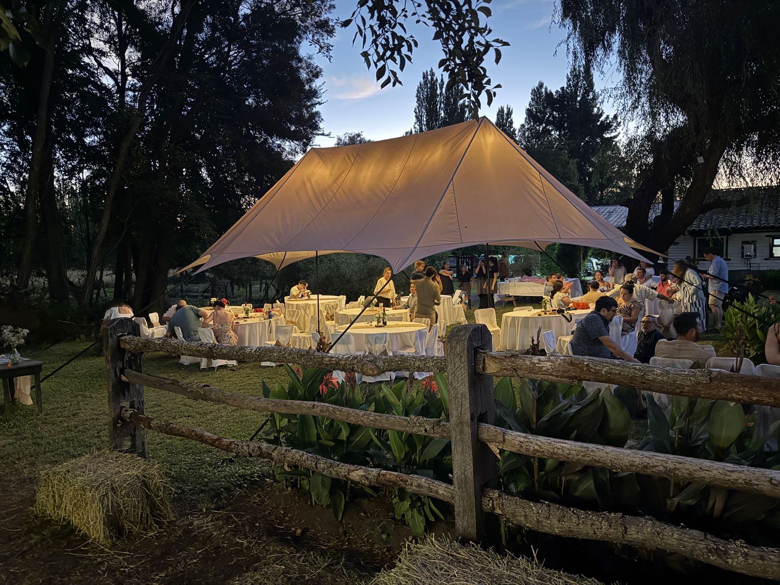 Hero image for MASSCO