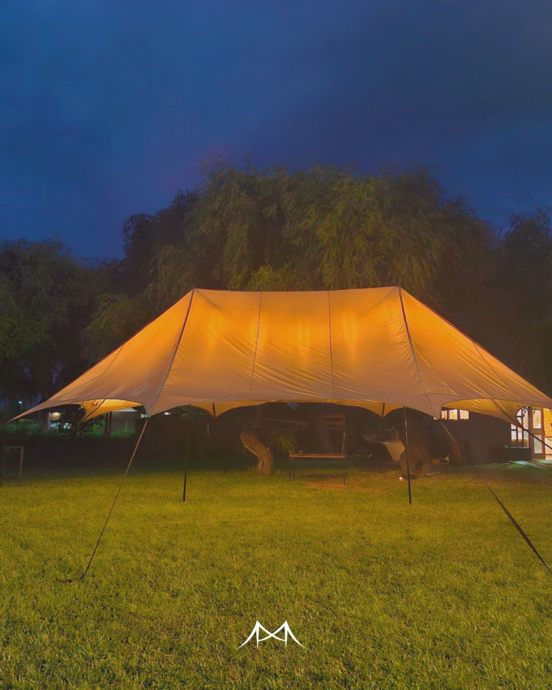 Service: Iluminación Profesional