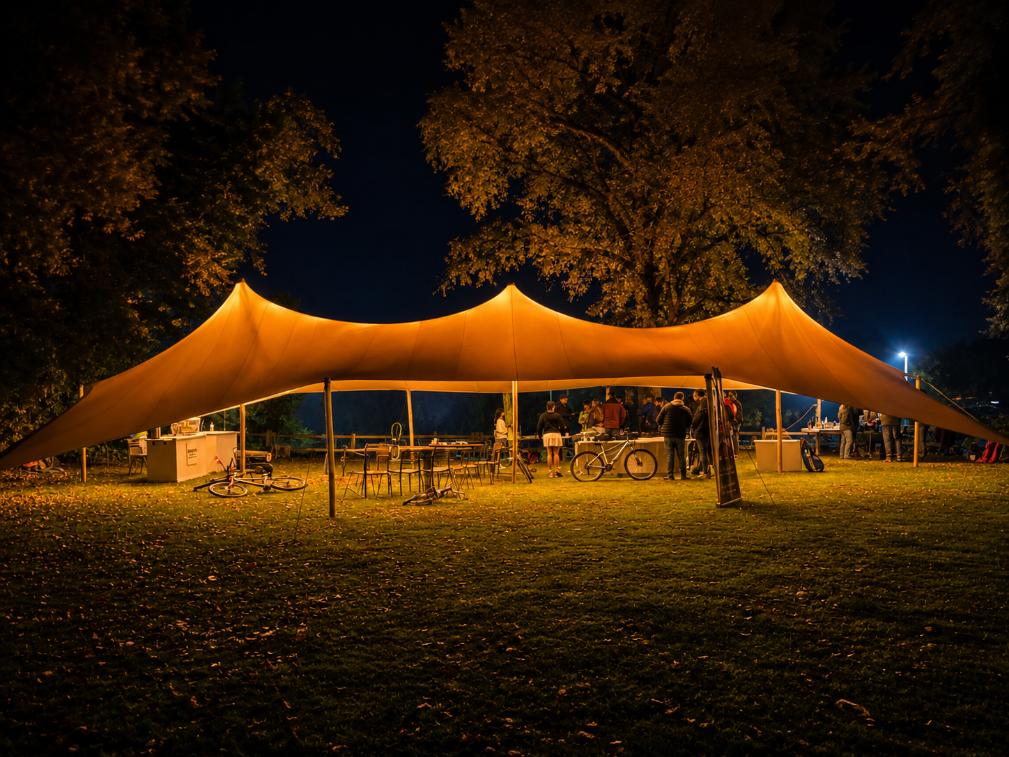 Service: Diseño de Carpas Elegantes