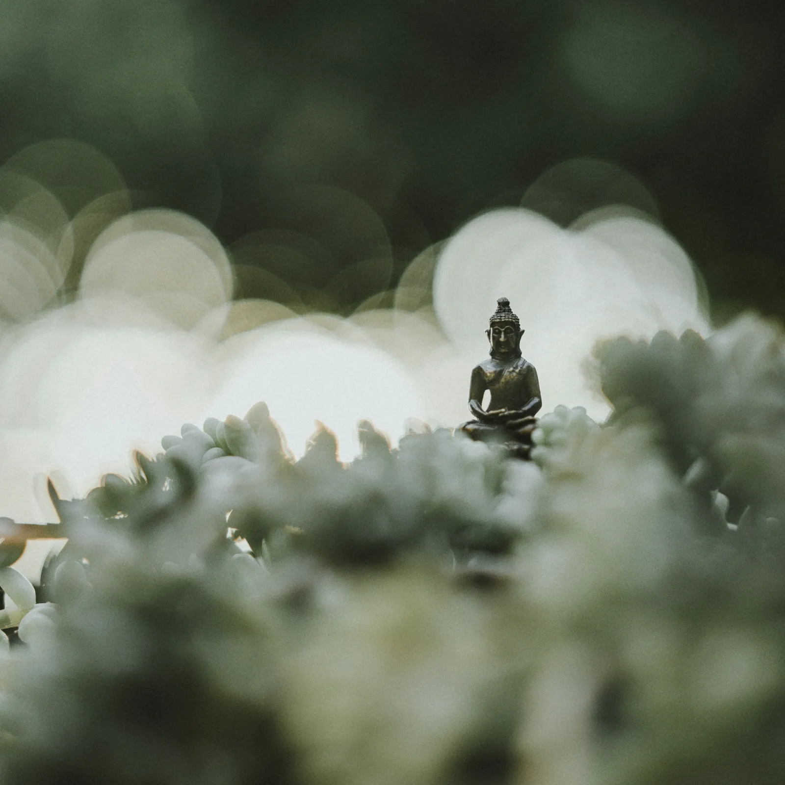 Meditation - der Weg nach innen 