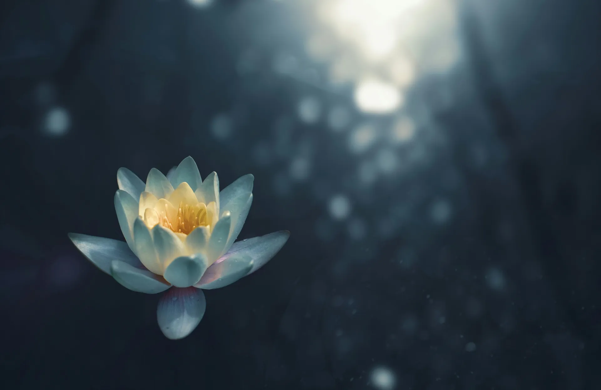 Kostenfreie Meditation - Zeit für dich 