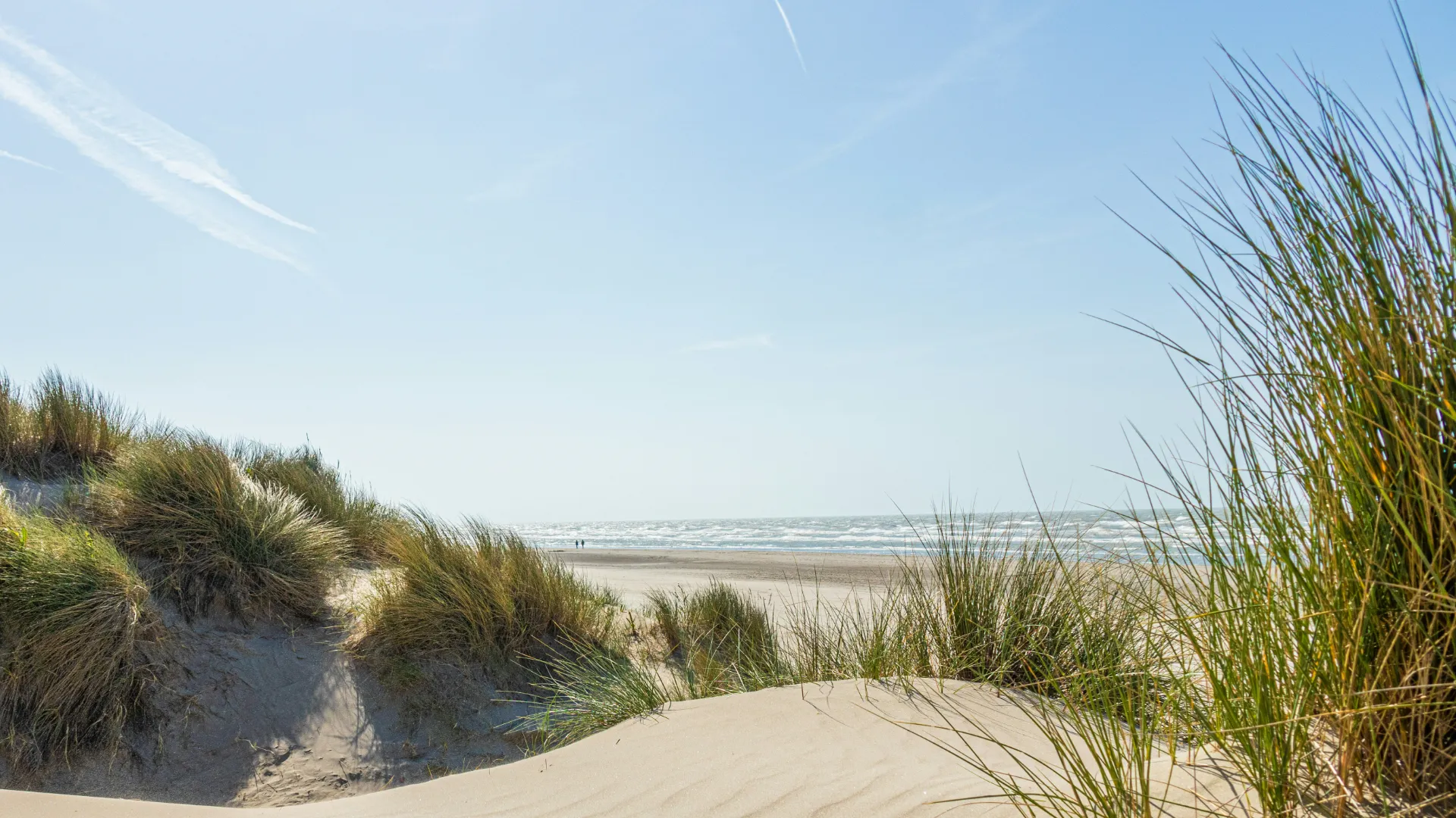 Ein Foto von Dünen und Strand