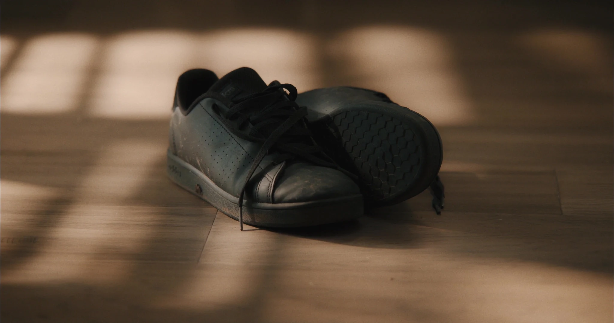 Aseda Academy — cinematography by Danny Oh