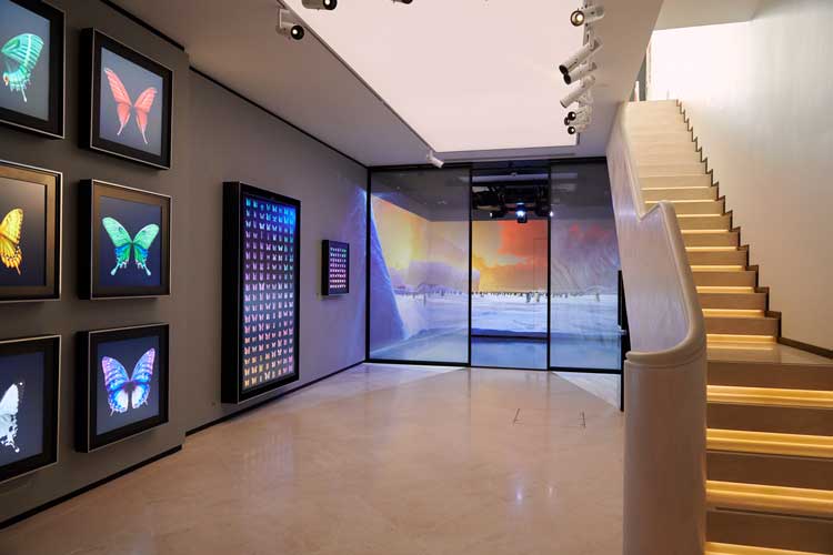 Feeding Consciousness Show