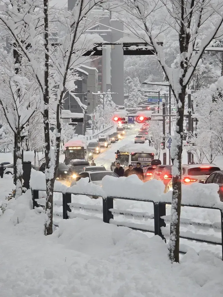 폭설 사진
