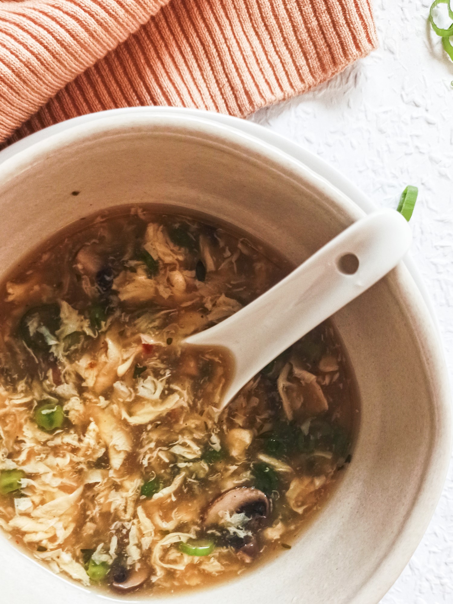 Chinese Hot and Sour Soup - Title of the Recipe