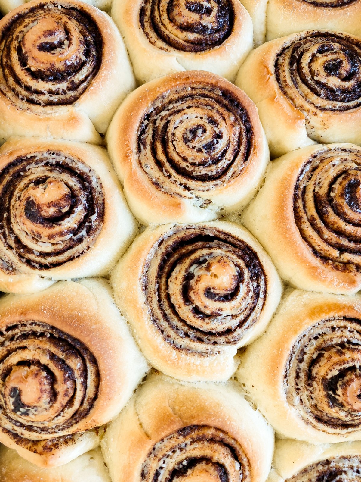 Einfache Zimtschnecken - Cinnamon rolls