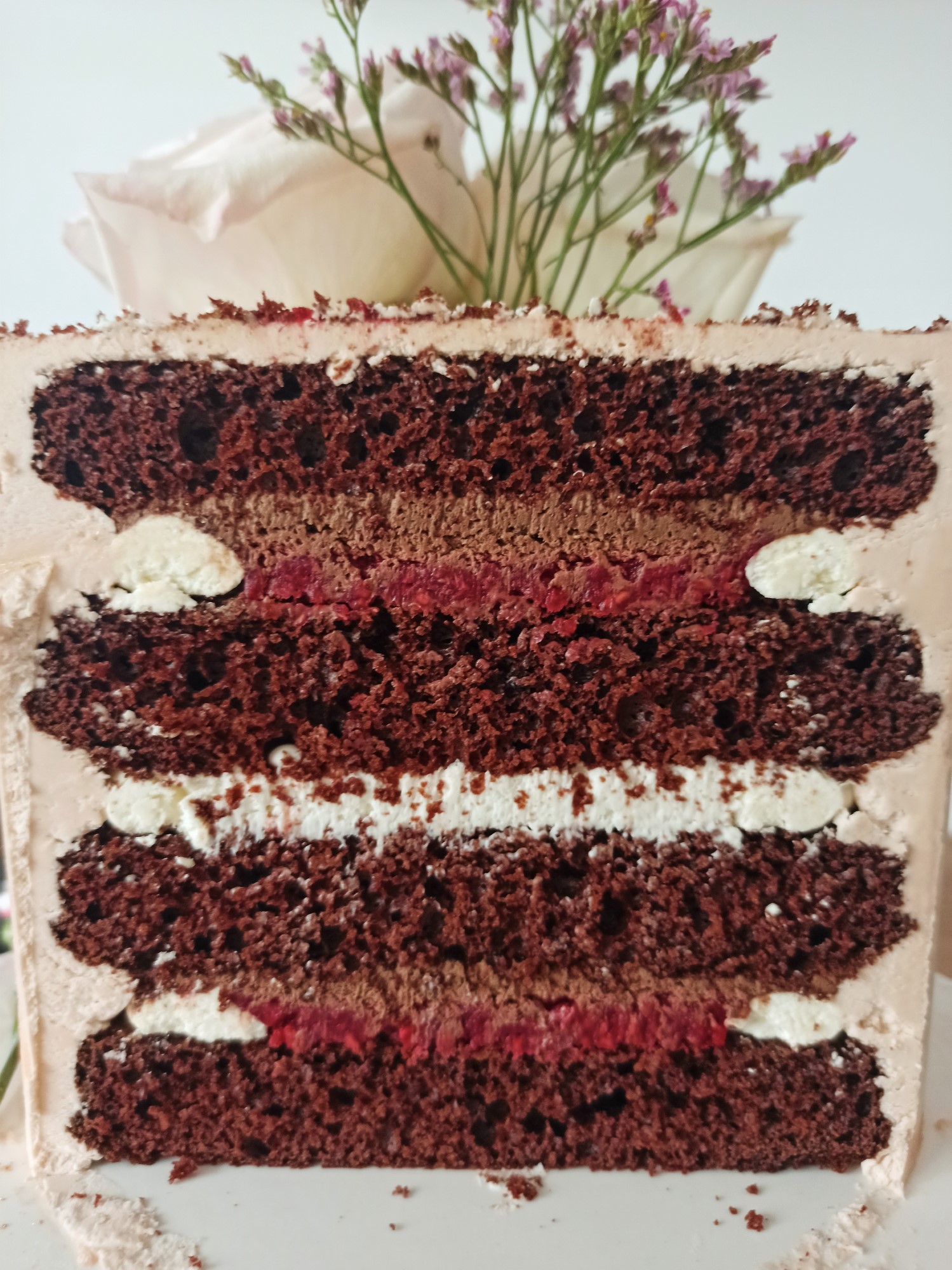 Cake with chocolate mousse and raspberry filling - alt