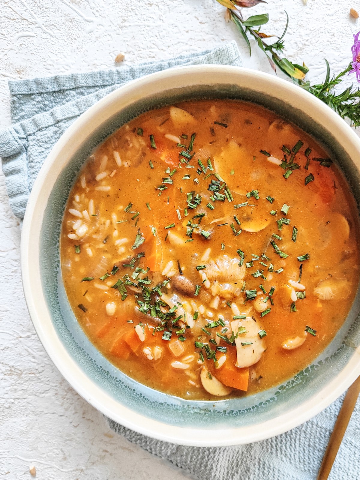 Mushroom Soup with Paprika - alt