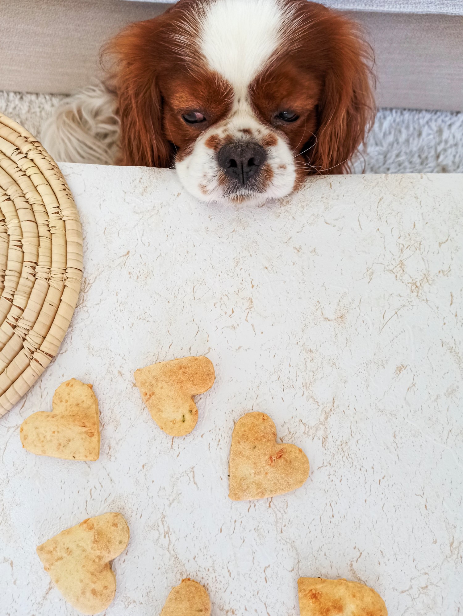 Dog Treats with Cheese - Title of the Recipe