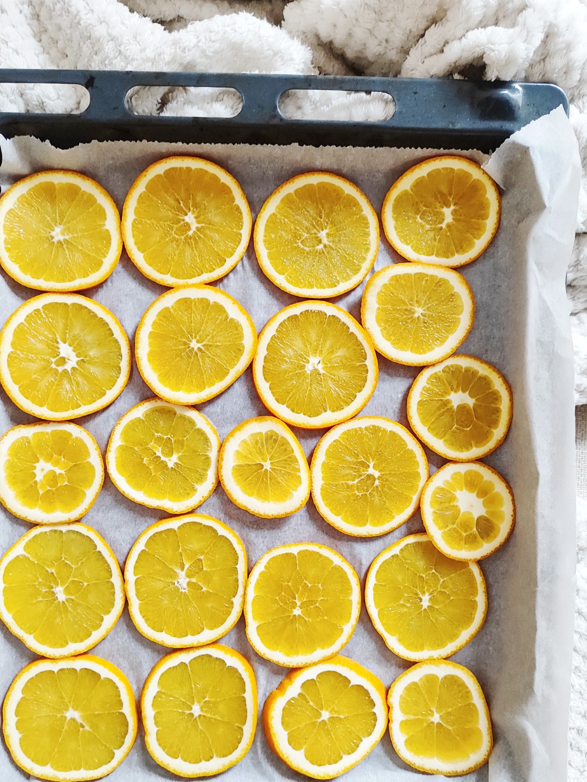 Dehydrierte Orangen - Oranges