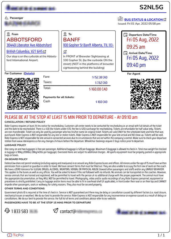 Bus ticket print ready pdf document