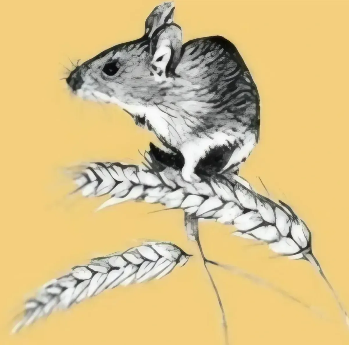 Harvestmouse logo