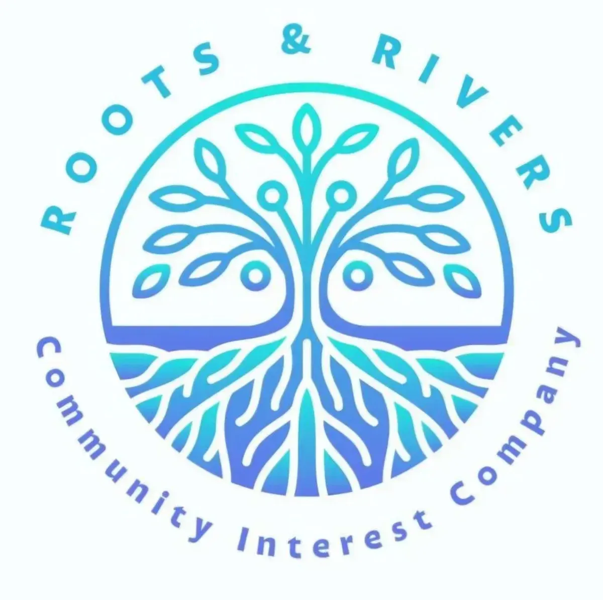 Descriptive text for the image