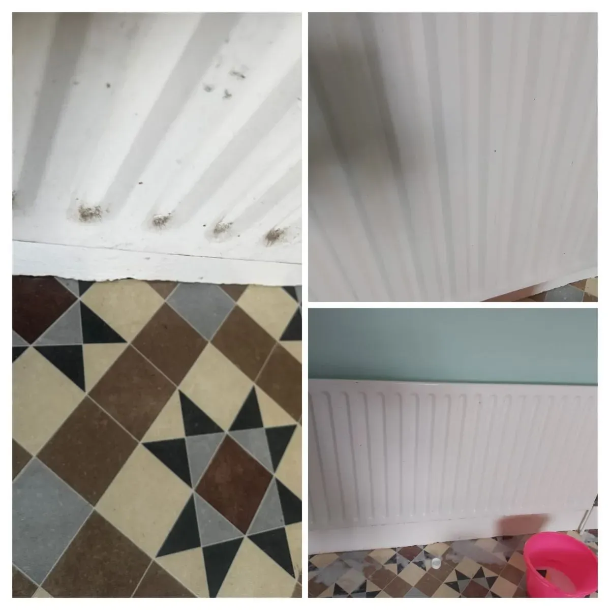 Painting Service in Bishopston