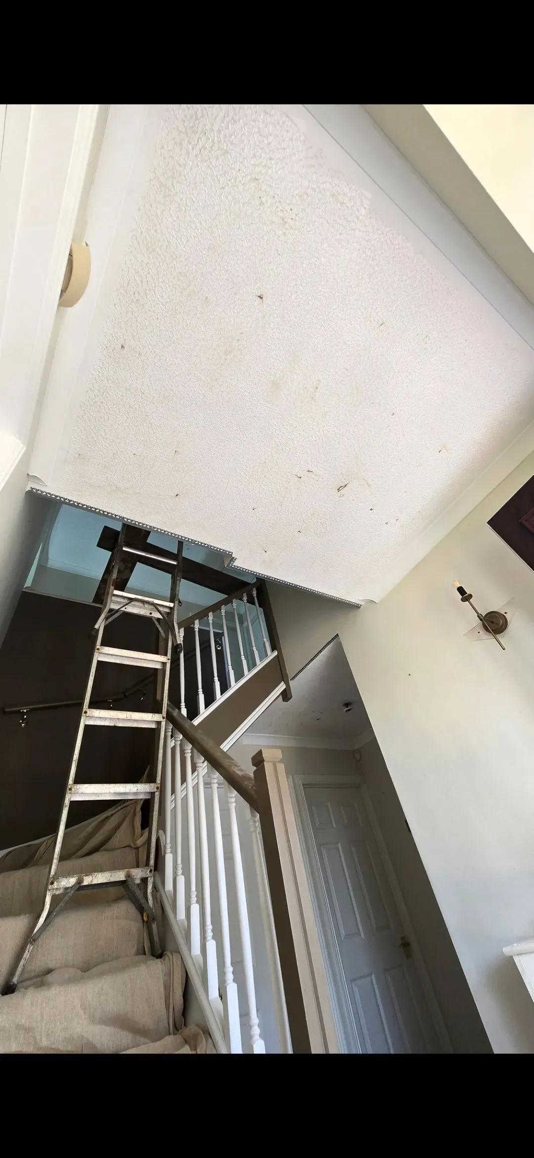 Artex removal skimming plastering ceilings Bristol