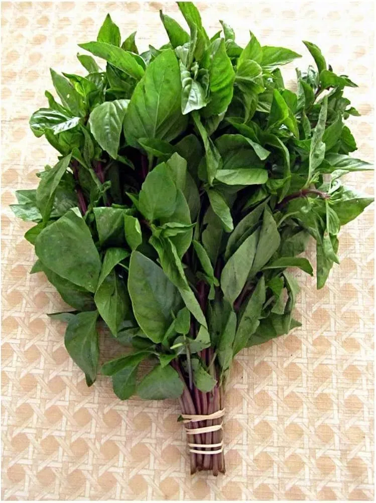 8225394544094-x3pu5tllziuyyzipo1rv-thai-sweet-basil thumbnail image