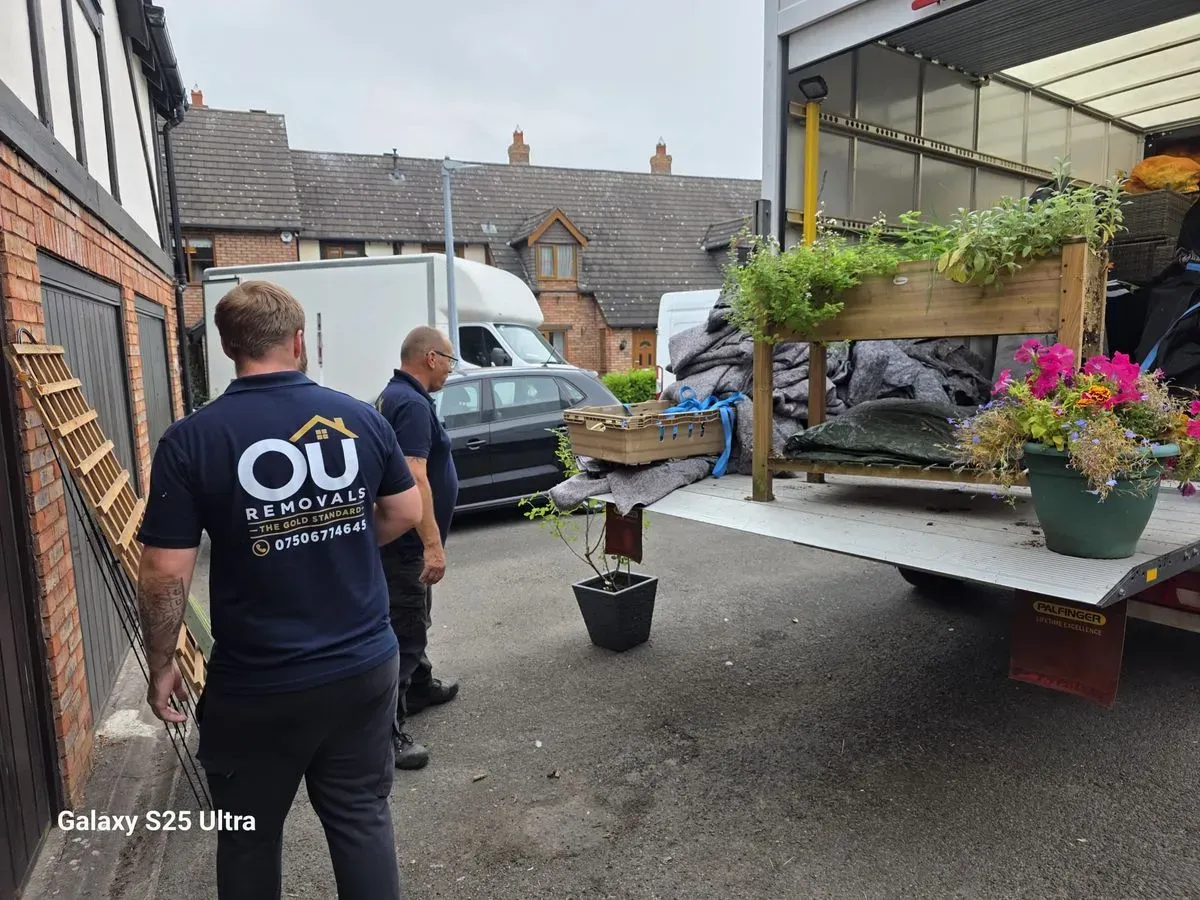 Gold Standard Removals