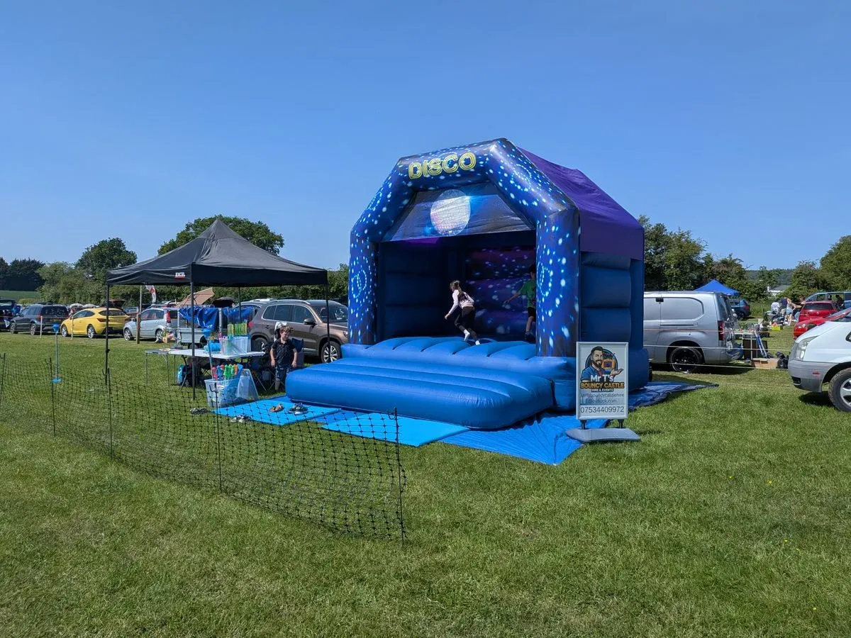 Themed bouncy castles image