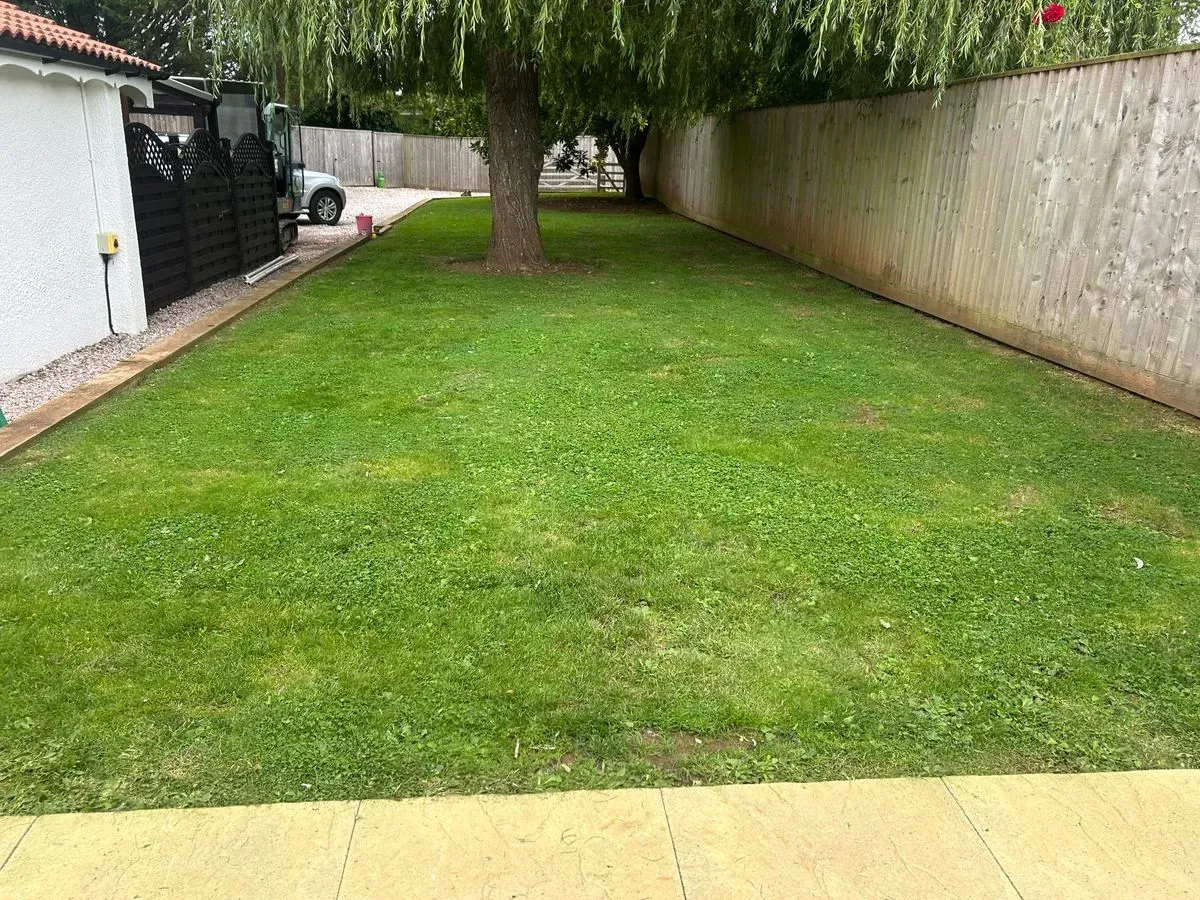 Landscape gardening and design image background image