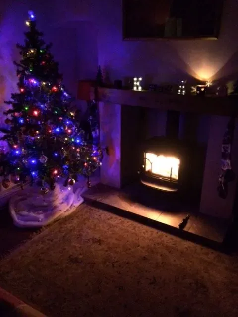 magical Jotul F100 at Christmas from Rugeley Fireplaces and Stoves Rugeley
