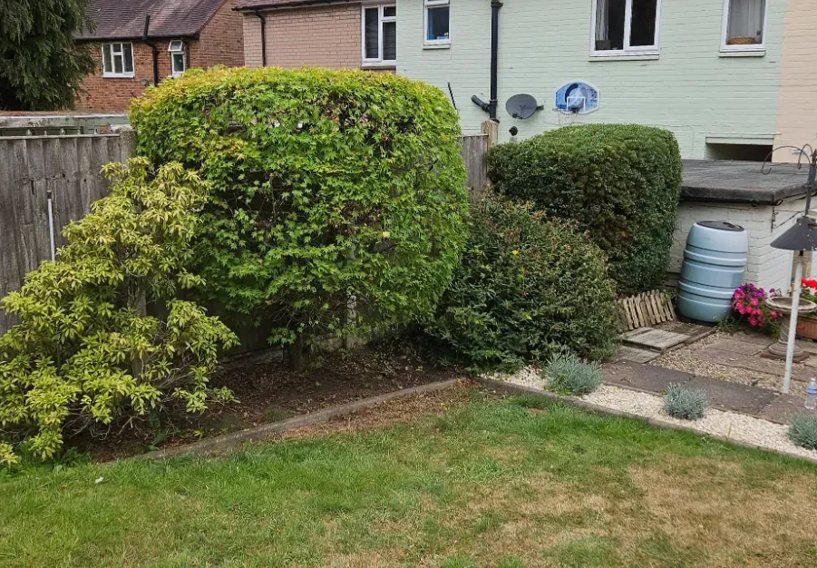 Hedge Trimming and Shaping image background image