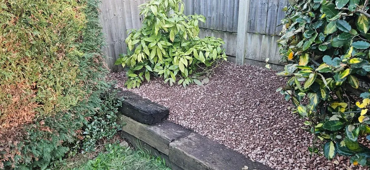 Planting and Transplanting image background image