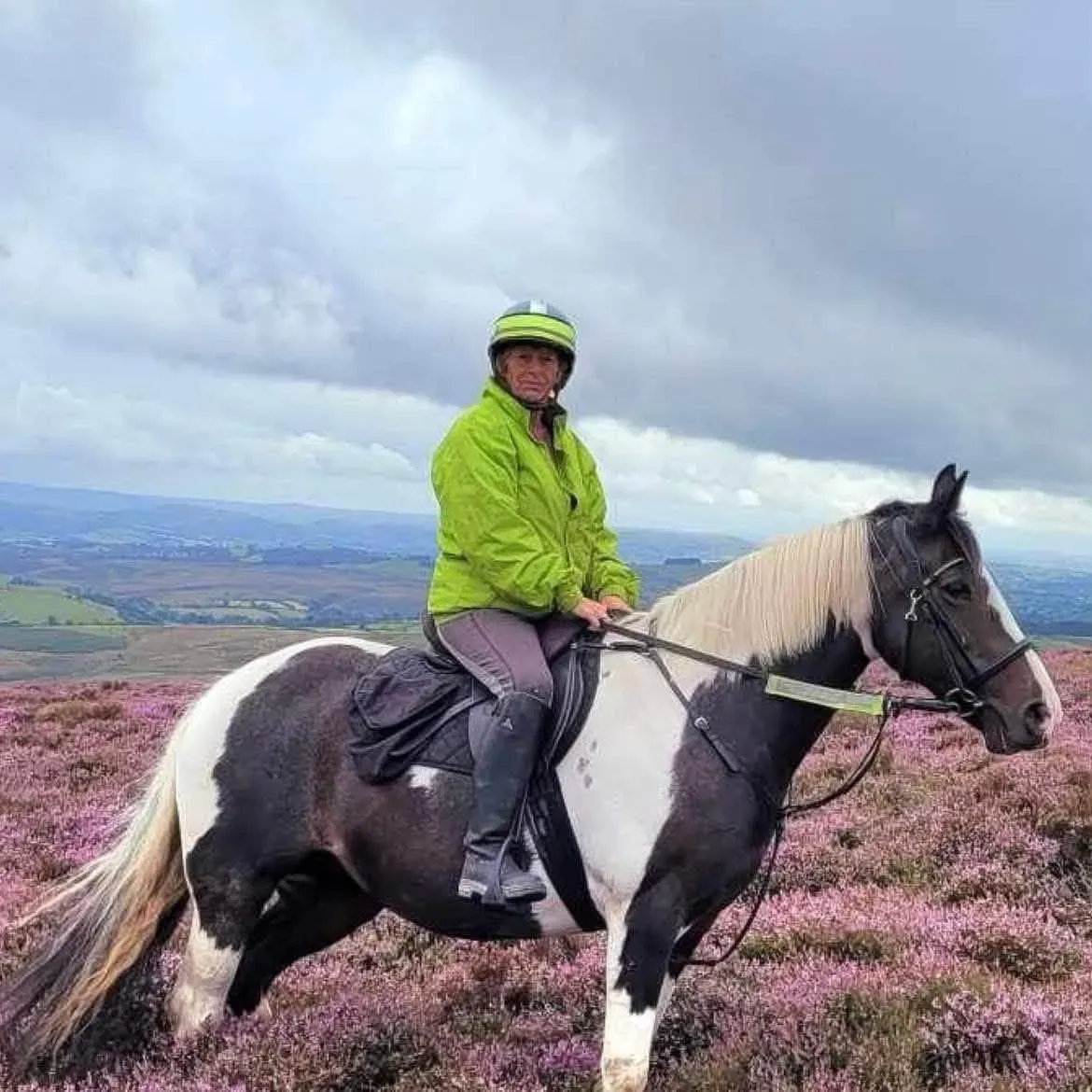 Guided Horseback Riding Tours