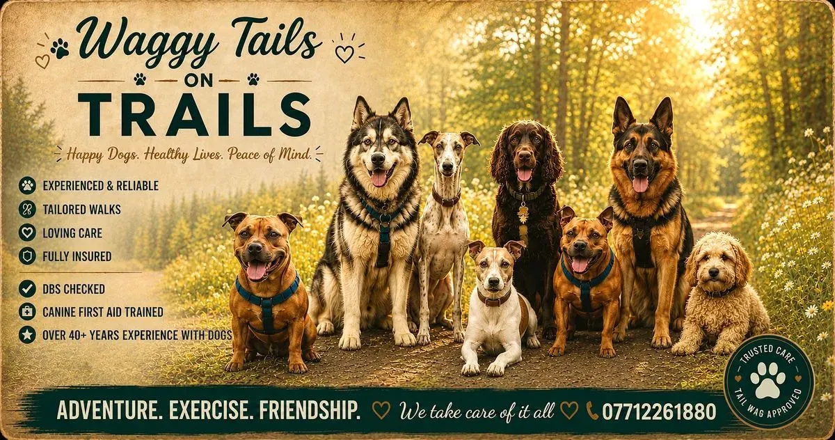 Obedience Training image background image