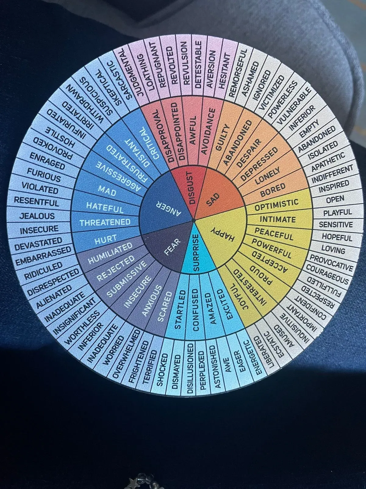 Descriptive text for the image