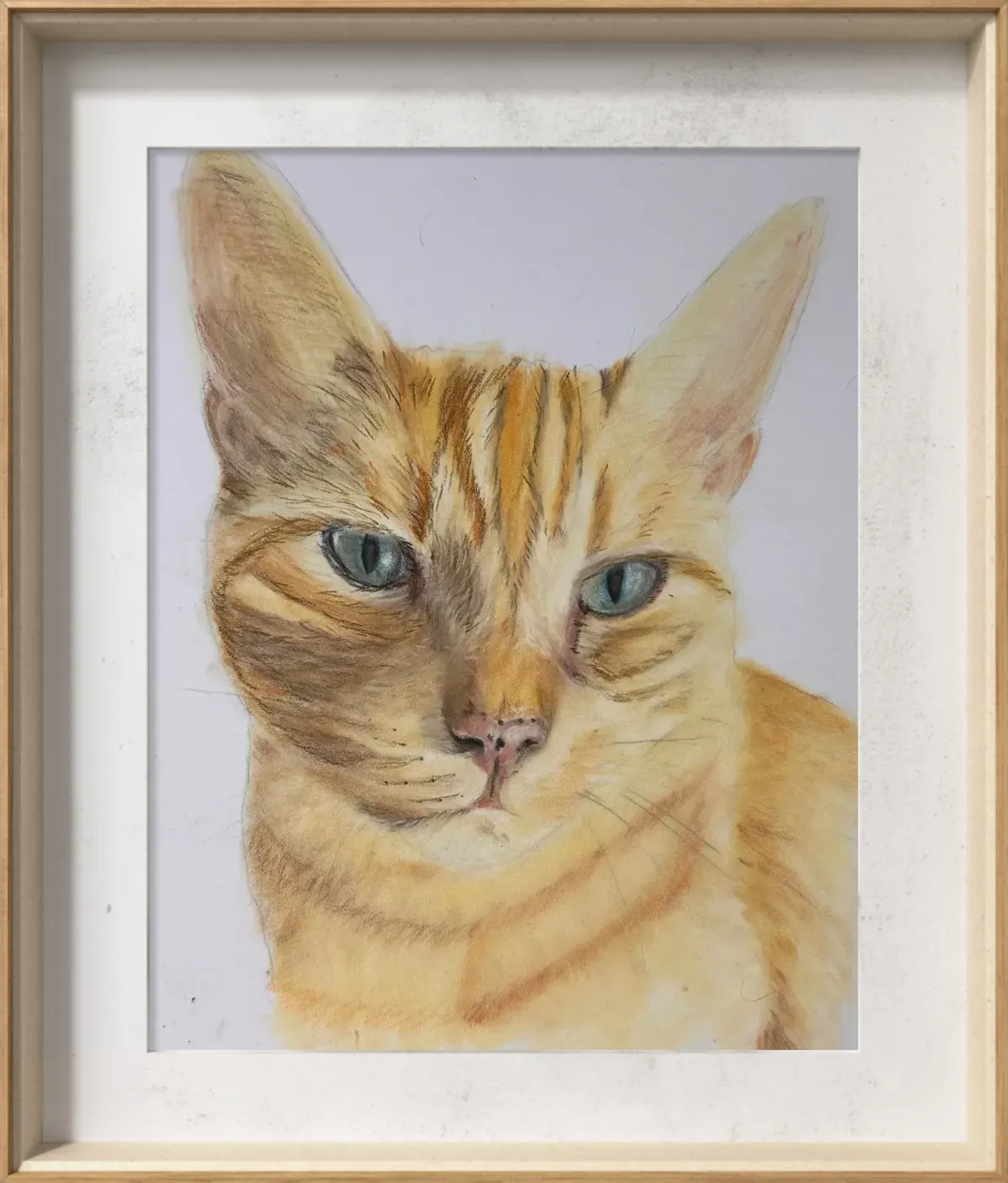 Descriptive text for the image