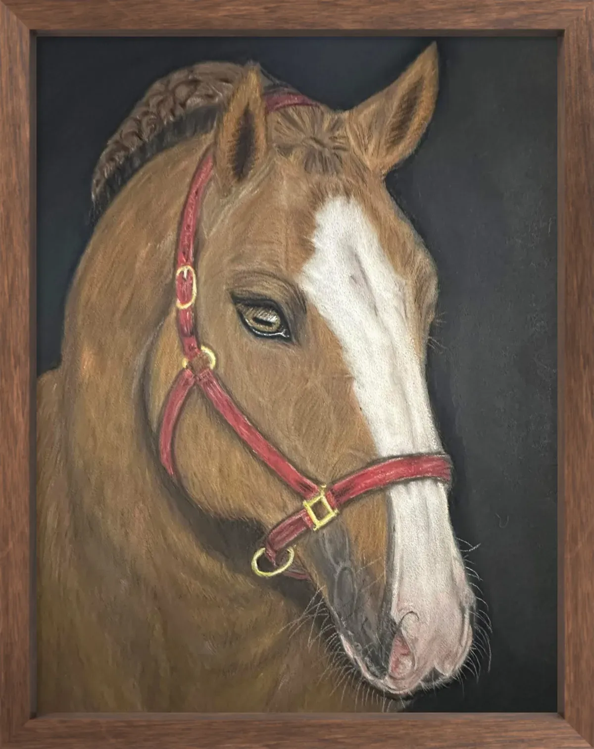 Descriptive text for the image